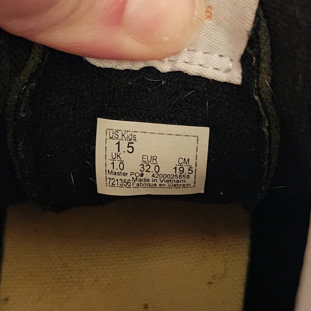 Vans stylish sk8